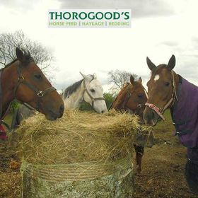 Thorogoods Horse Feeds - Direct From The Growser 
